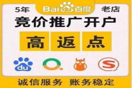 SEM广告投放案例：打造品牌影响力